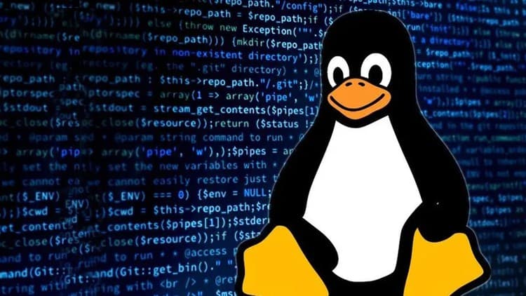 Linux Command Line Terminal Basic for Beginners (In Hindi) - Free Udemy Course
