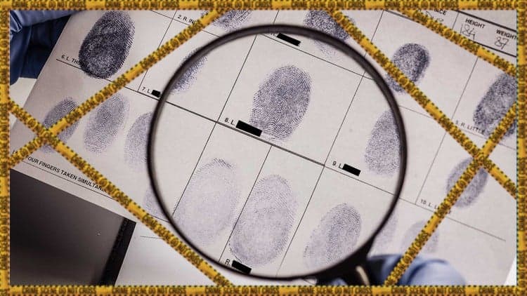 Criminology and Criminal Psychology | Certified CSI+ Course - Free Udemy Course