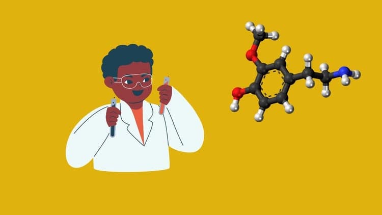 Introduction with Amines (Organic Chemistry) - Free Udemy Course