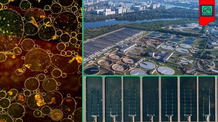 Sanitation & Wastewater Treatment Explained - Free Udemy Course