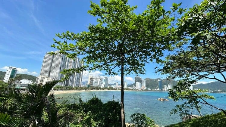 Dẫn dắt Thay Đổi trong Kỷ nguyên AI đầy biến động - Free Udemy Course