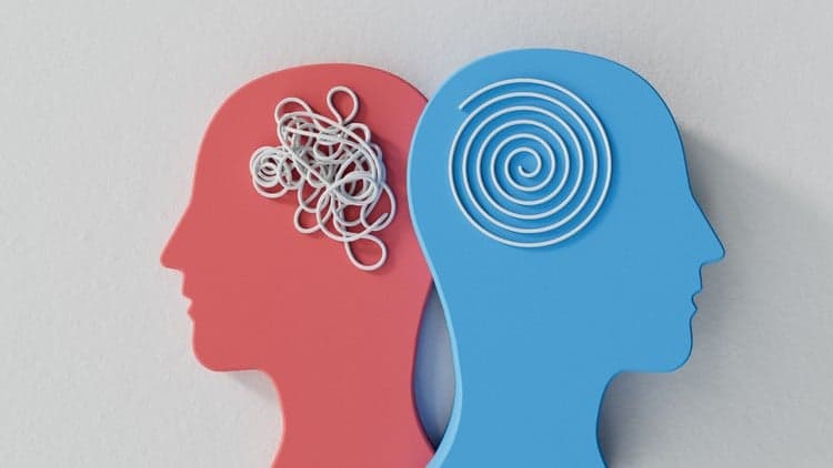 Nhập môn Tâm lý học cơ bản - Psychology Fundamental 101 - Free Udemy Course