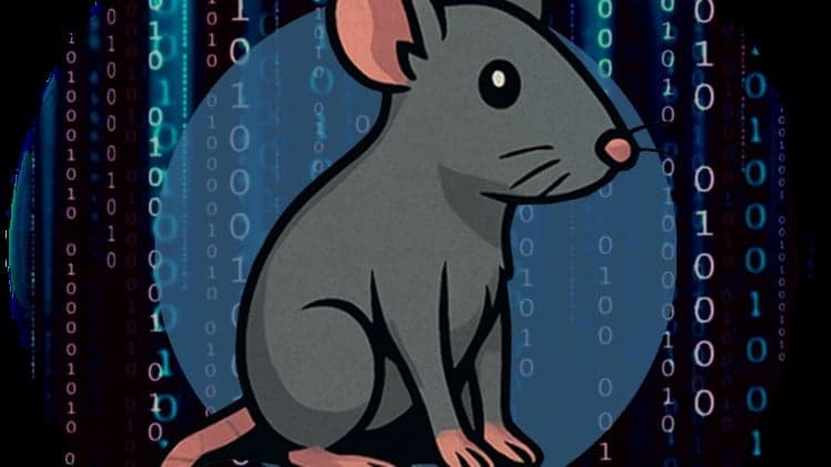 CAPIE - Certified API Hacking Expert Course Content - Free Udemy Course