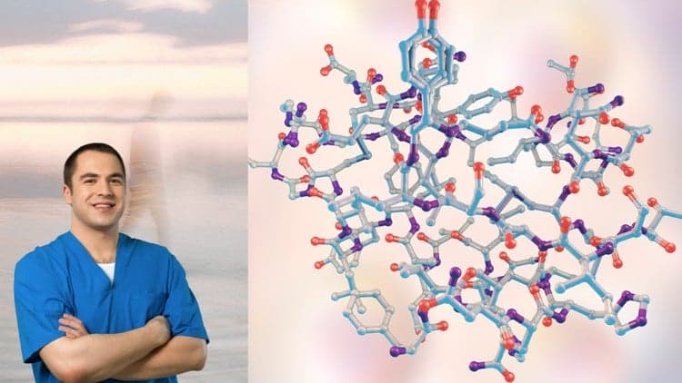 Hormone Health Guide for a Healthy Lifestyle (Accredited) - Free Udemy Course