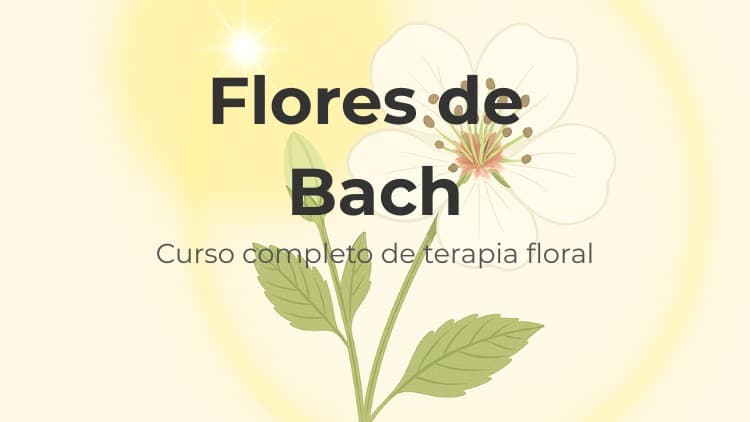 Flores de Bach: Curso Completo de Terapia Floral - Free Udemy Course