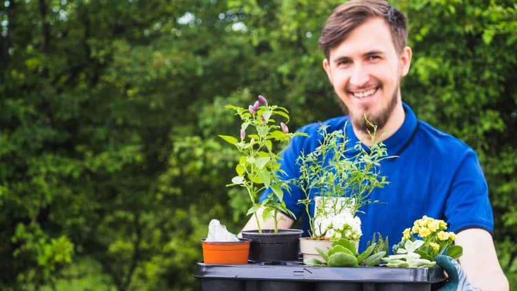 Hydroponics & Horticulture: Modern Farming Techniques 101 - Free Udemy Course