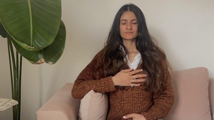 Emotional Regulation & Grounding Toolkit - Free Udemy Course