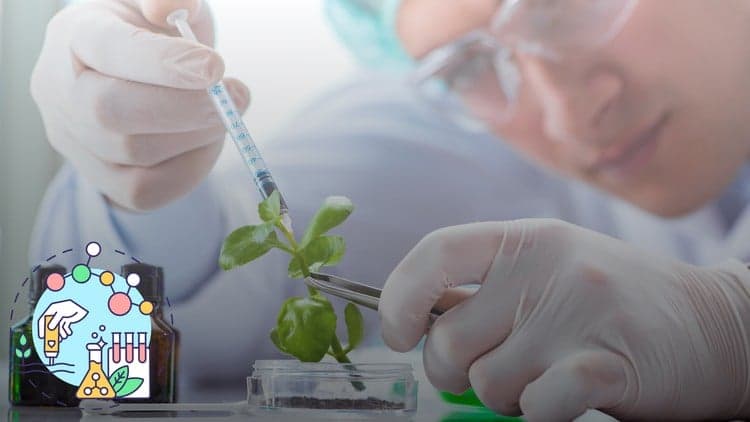 Biotechnology and Molecular Life Sciences for Success - Free Udemy Course