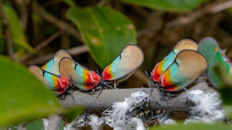 How to Transform Your Life - practical ways - Free Udemy Course