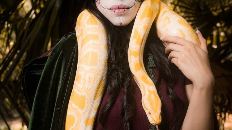 Python Development Professional Certification - Free Udemy Course