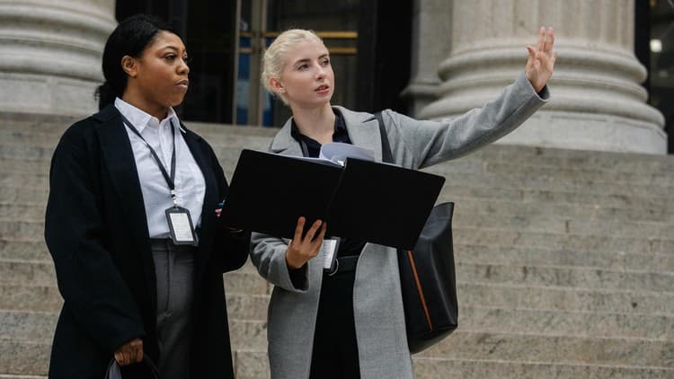 Professional Diploma: Government & Public Sector Technology - Free Udemy Course