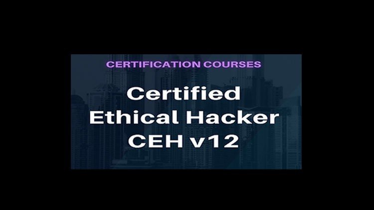 CEHv12: Certified Ethical Hacker Exam: 312-50 Practice
Exam