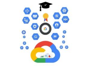 Google Cloud Digital Leader Certification practice Exam
2024