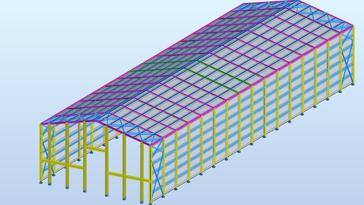 Autodesk Robot Steel Structure Modeling Analysis and
Design