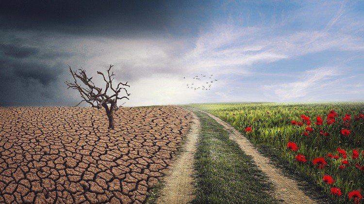 Climate Change and Sustainable development