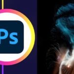 Essential Photoshop Course Beginner to Intermediate