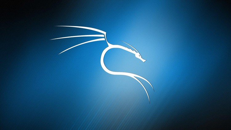 Hacking Ético con Kali Linux