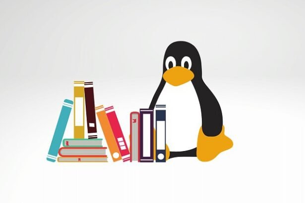 Linux Preparatory Exam For Higher Certificates in Management