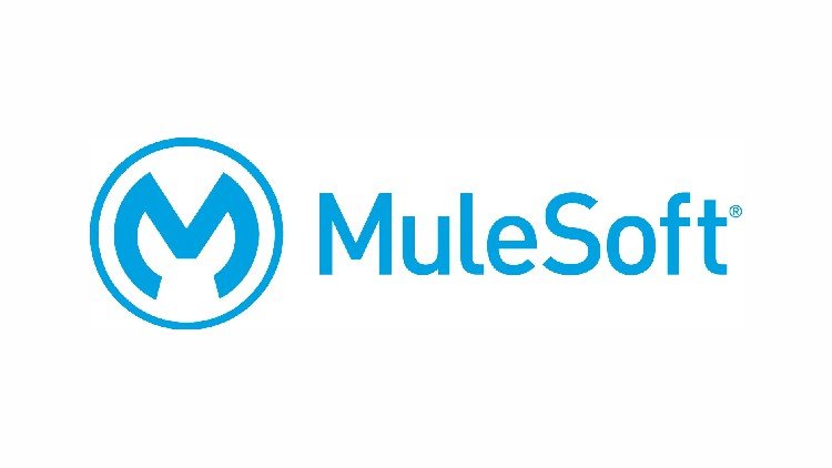 600+ MuleSoft Interview Questions Practice Test