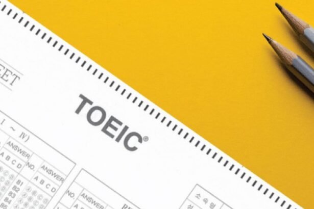 Formation TOEIC - Bien préparer l'examen TOEIC
(2024)