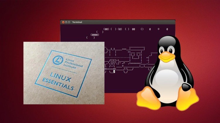 Терминал Linux. Основы работы в командной строке.