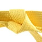 Lean Six Sigma Yellow Belt