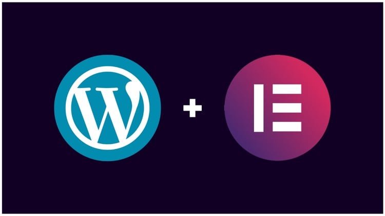 WordPress Web Design & Freelancing MasterClass [2025]