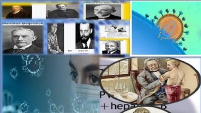 human virology for college students