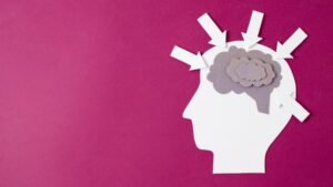Neuroplasticity Ultimate Course
