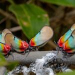 How to Transform Your Life - practical ways