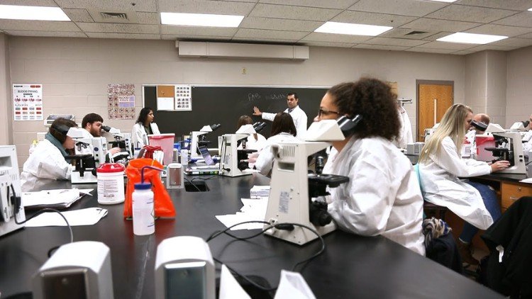 Medical Lab Technician