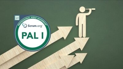 Professional Agile Leadership PAL / PAL-I Practice Exams