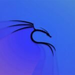 Ethical Hacking: Metasploit, NMAP, Kali, Python 3 y más