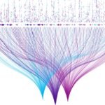 Professional Certificate of IBM SPSS Statistics Expert