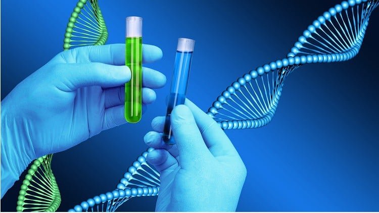 Patent Strategies in Biotechnology - Protecting Innovations