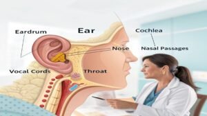 ABC of Ear, Nose, and Throat (ENT) Disorders
