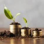 Mastering Microfinance 101