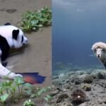Evolution and Science