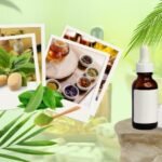 The Art of Herbalism: From Roots to Remedies