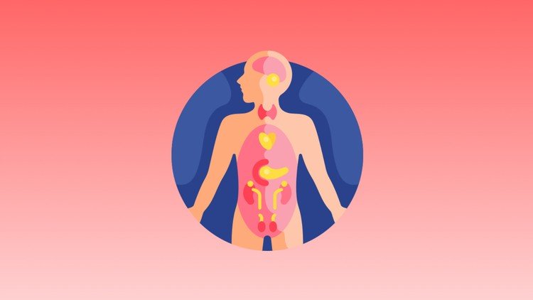 Crash Course Anatomy
