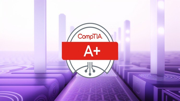 Dominate CompTIA A+: 6 Comprehensive Practice Tests for 2024