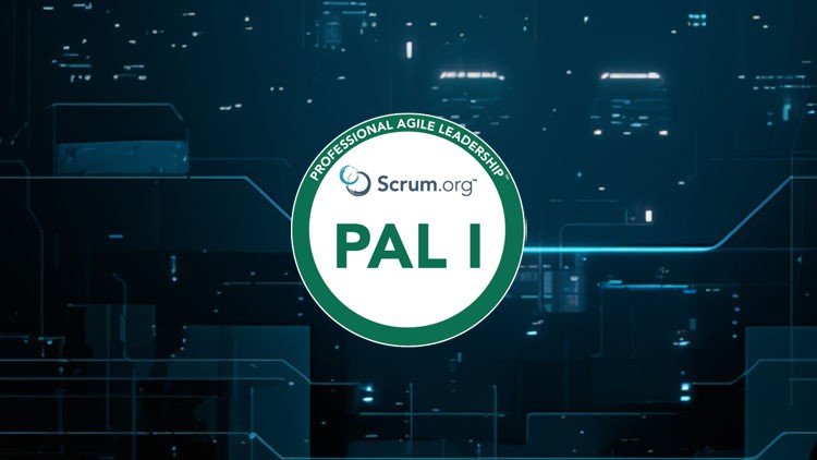 PAL I Certification: 6 Full Practice Tests