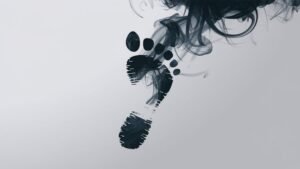 Carbon Footprint 101: Understand and Calculate Your Impact