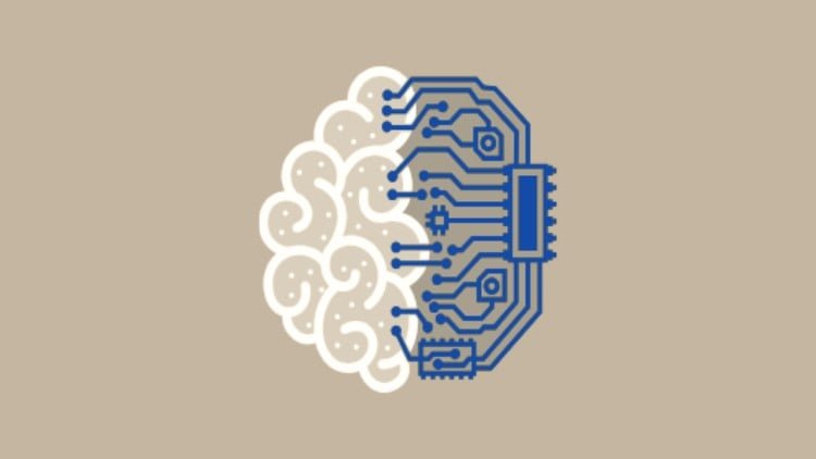 Neuroscience Beyond Medicine