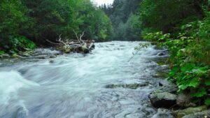 INTRODUCTION TO THE INNER GAME® METHODOLOGY