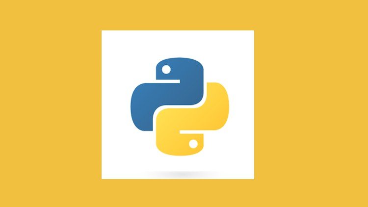 Python Programming+Replit Python Bootcamp Beginner Tutorial