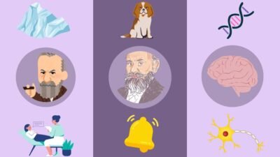 Major Perspectives in Psychology