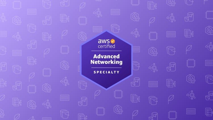 AWS Certified Advanced Networking Specialty Practice Exams