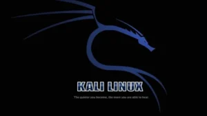 Kali Linux for Pentesters and Ethical Hackers Exam 2025