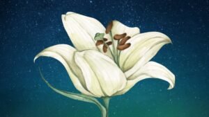 A Course in Miracles - 'Course Cosmology' Series
